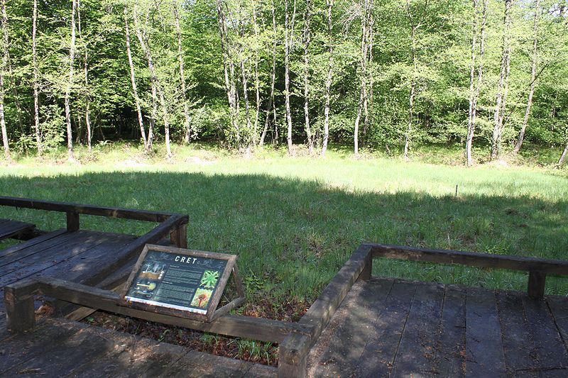 Datoteka:Cret4.jpg