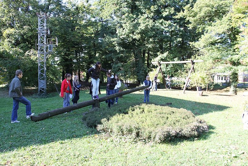 Datoteka:Janusevec-zabava.jpg
