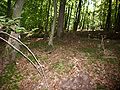 Minijatura za inačicu od 12:48, 17. svibnja 2012.