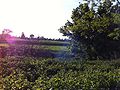 Minijatura za inačicu od 13:38, 18. svibnja 2012.
