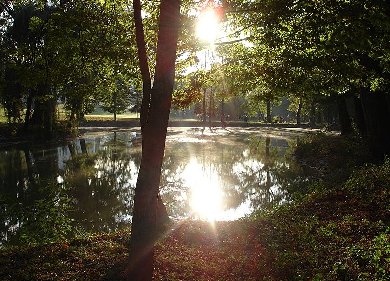 Datoteka:Luznica-jezero.jpg